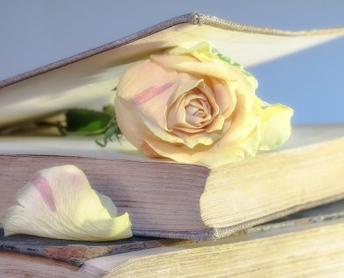 buku dan pembatas mawar putih